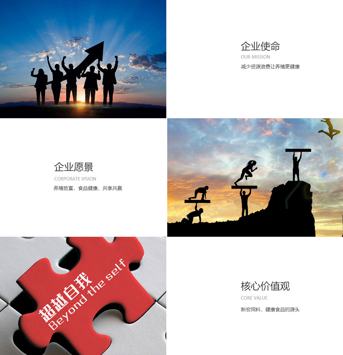 正规大小单双(图1)